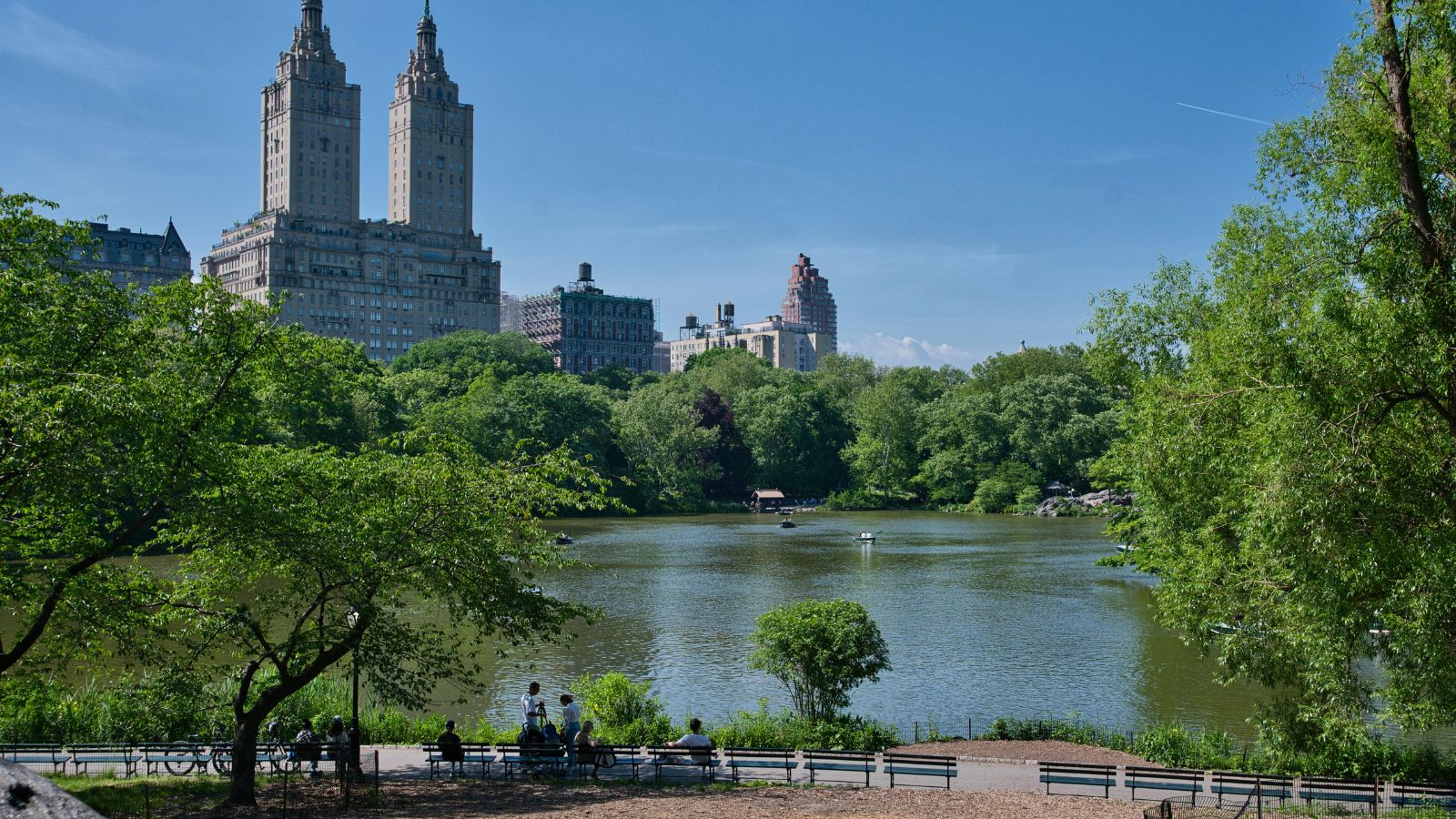 New York City skyline rising above Central Park